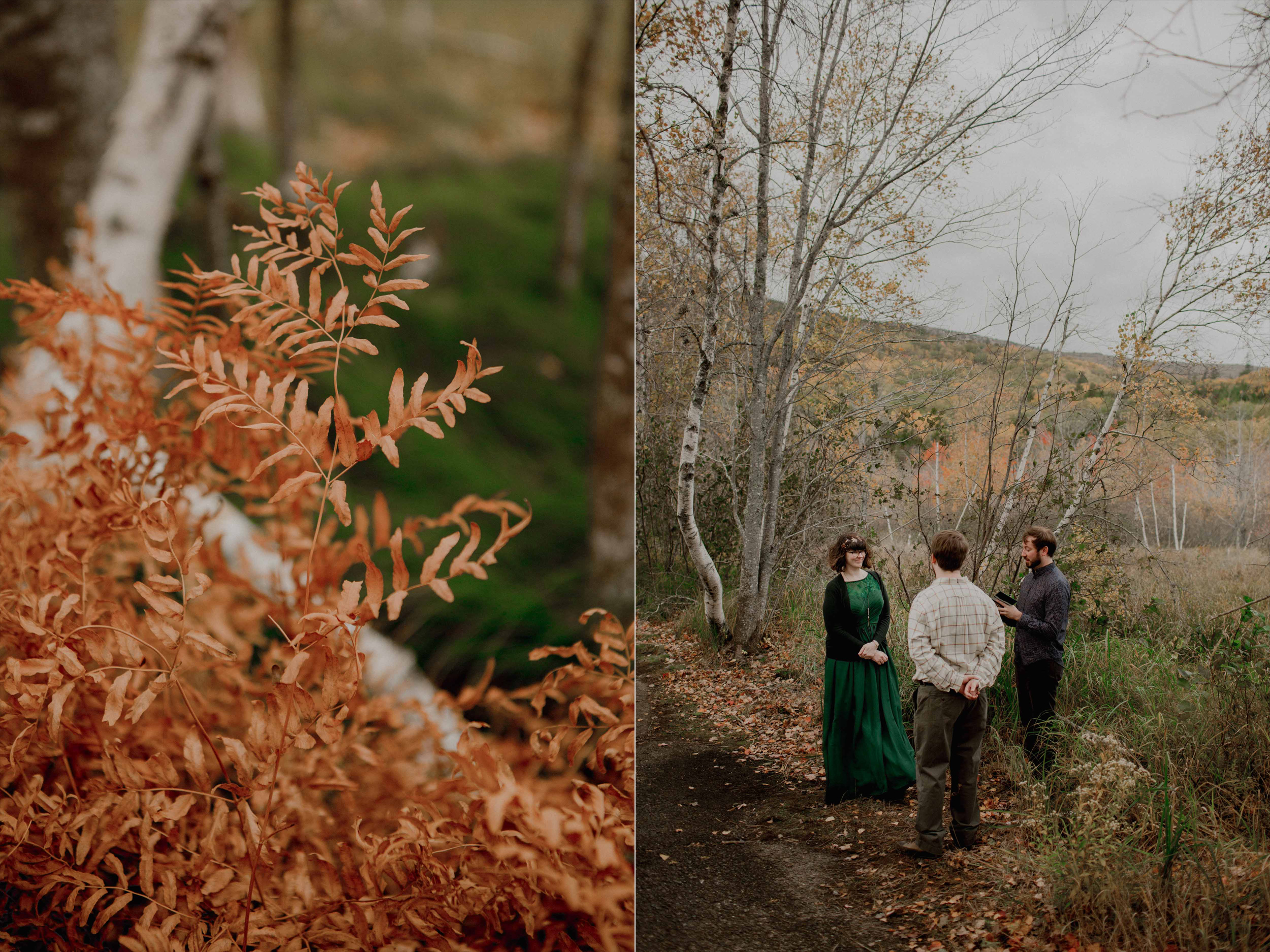 Acadia-Elopement1l.jpg