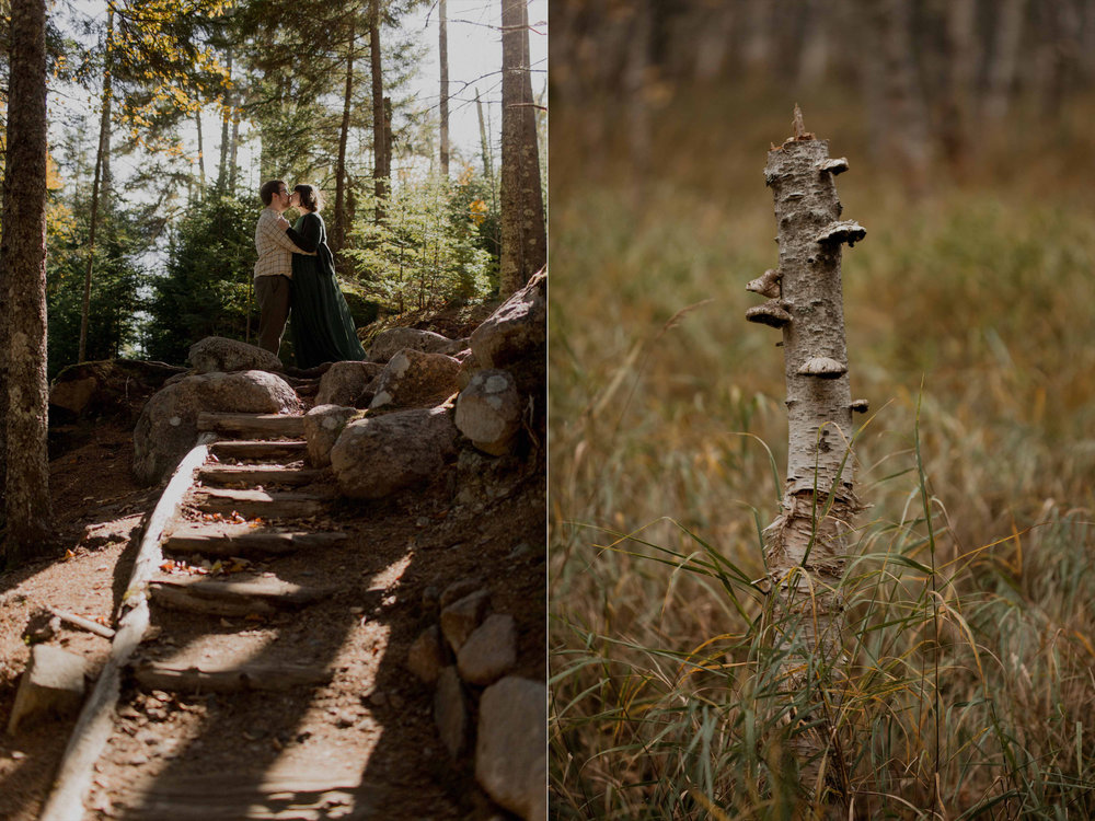 Acadia-Elopement1n.jpg