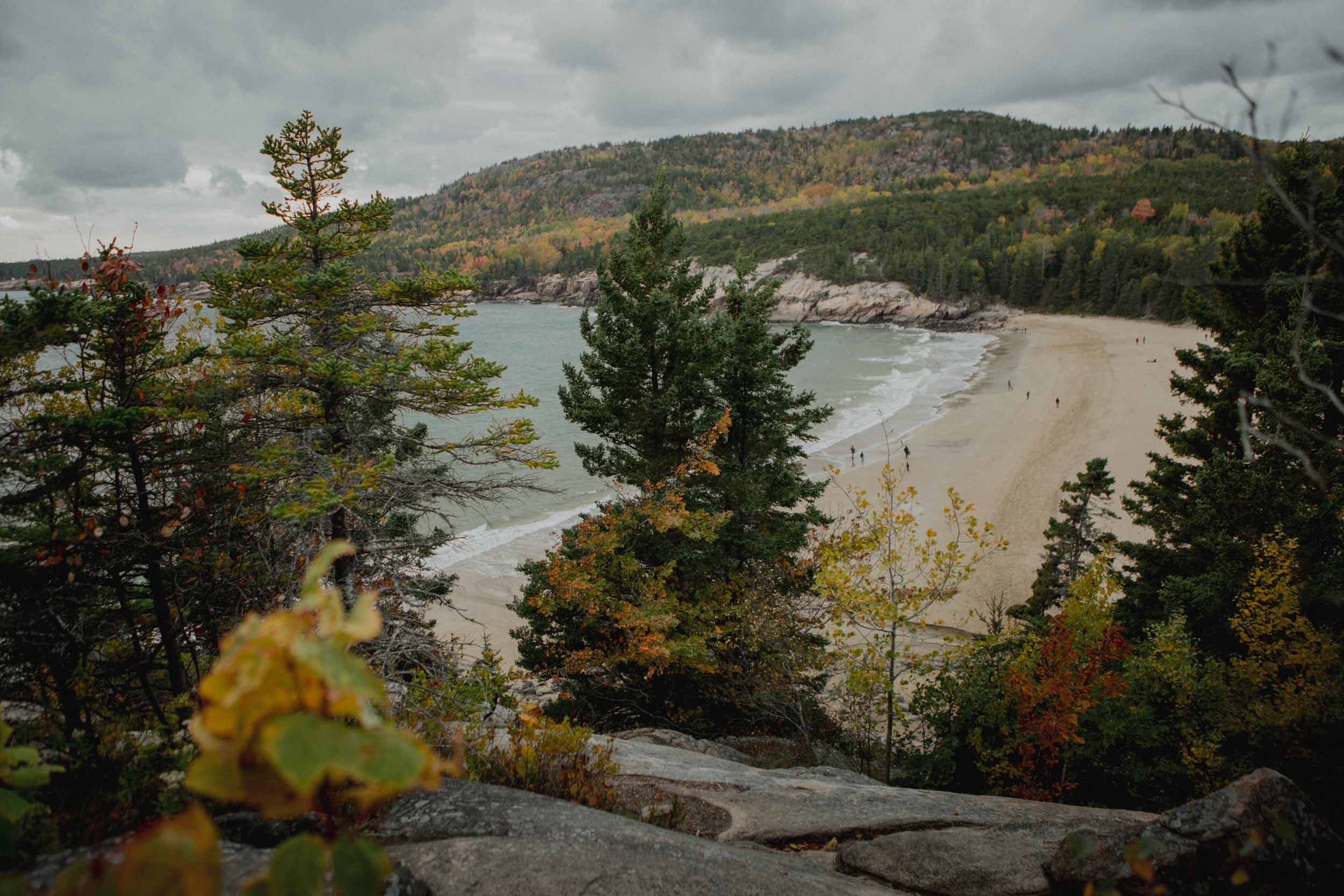 Acadia-Elopement206.jpg