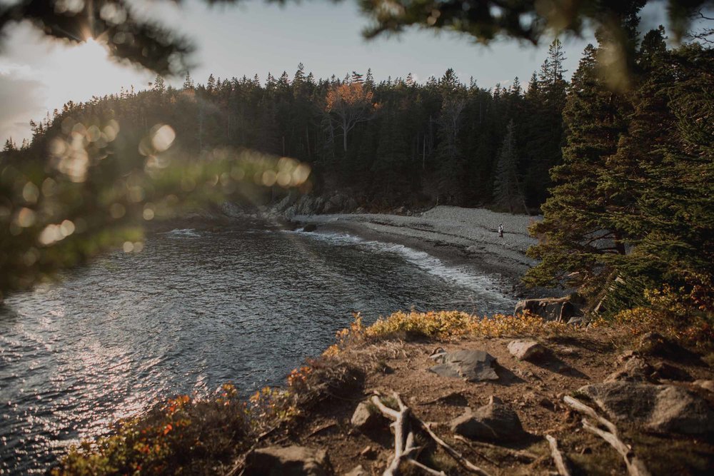 Acadia-National-Park-Elopement142.jpg