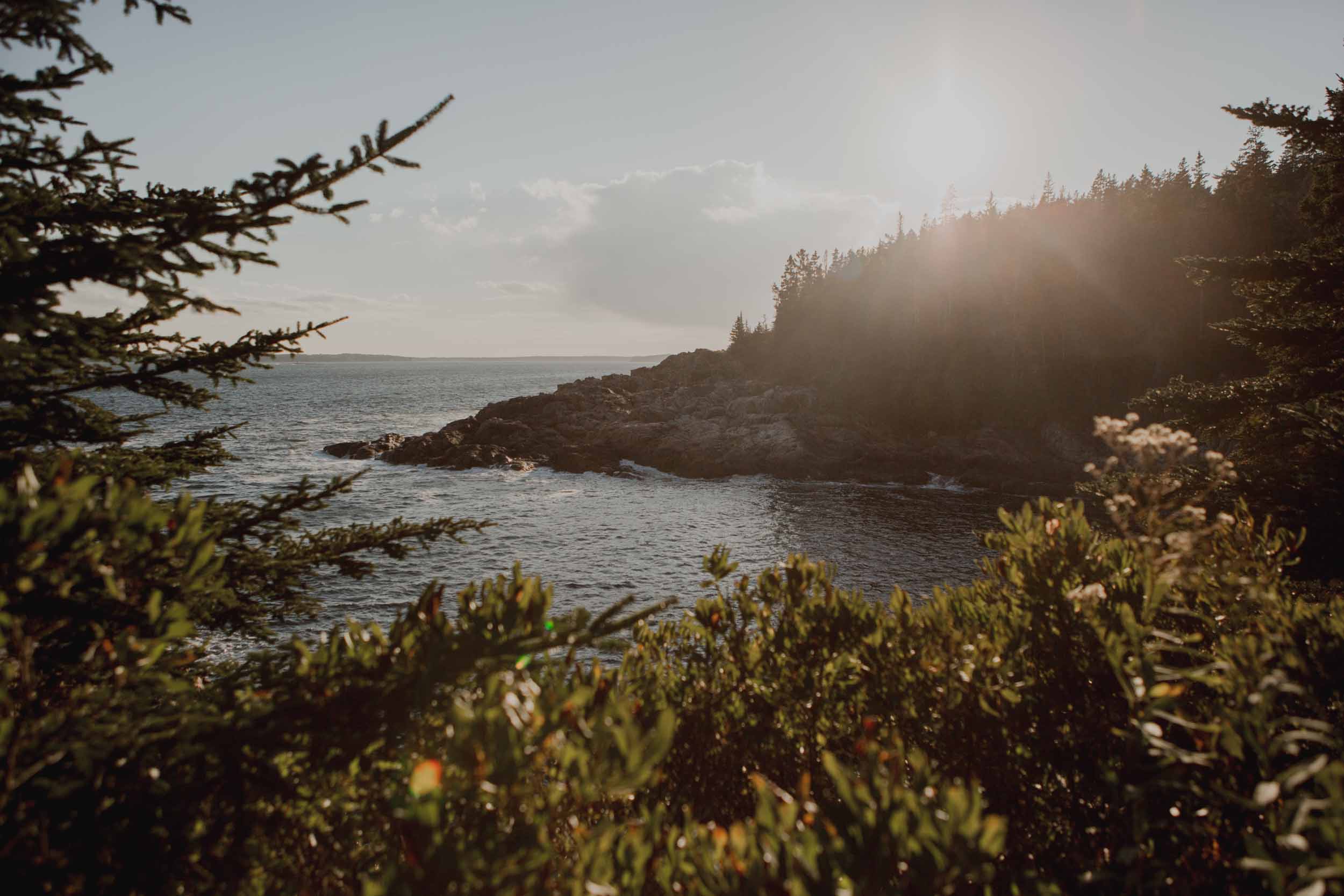 Acadia-National-Park-Elopement143.jpg