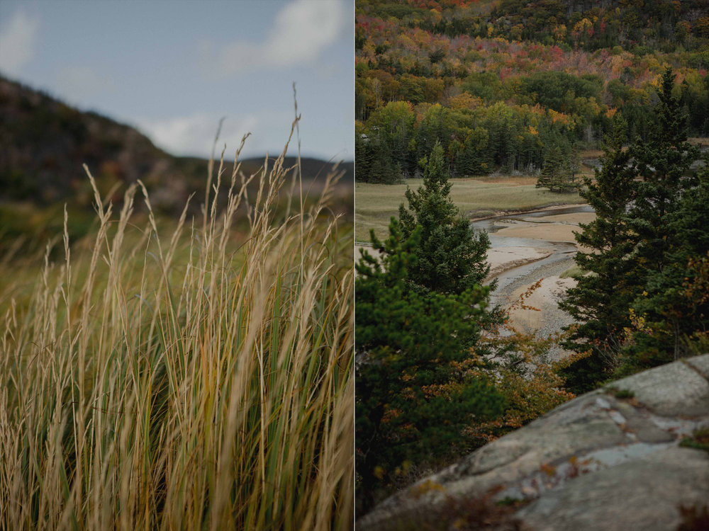 Acadia-National-Park-Elopement1o.jpg