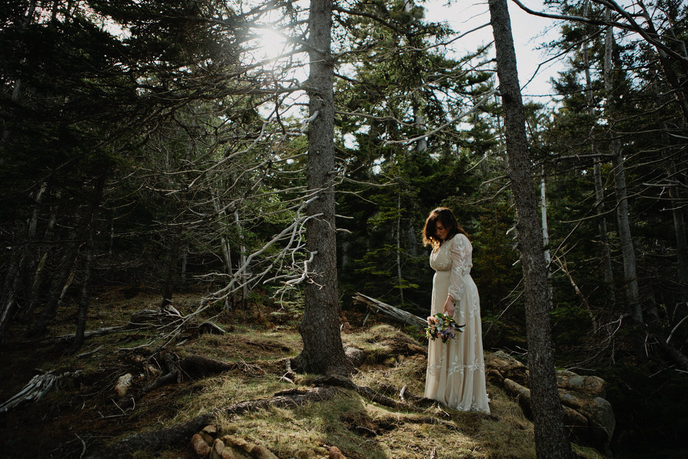 Acadia-Elopement-Photos-317.jpg