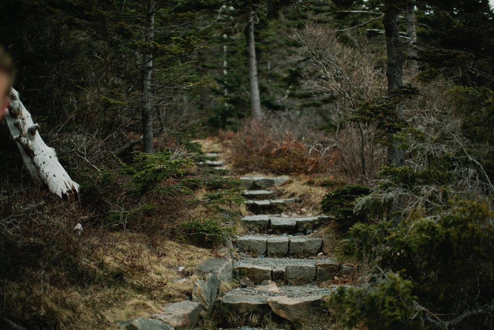 Acadia-Elopement-Photos-386.jpg