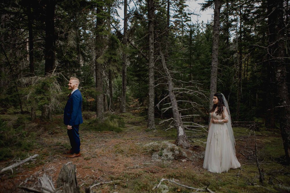 Acadia-Wedding-Photographer20.jpg