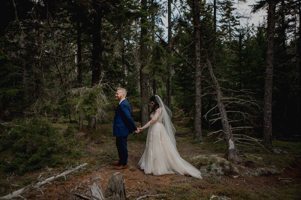 Acadia-Wedding-Photographer25.jpg