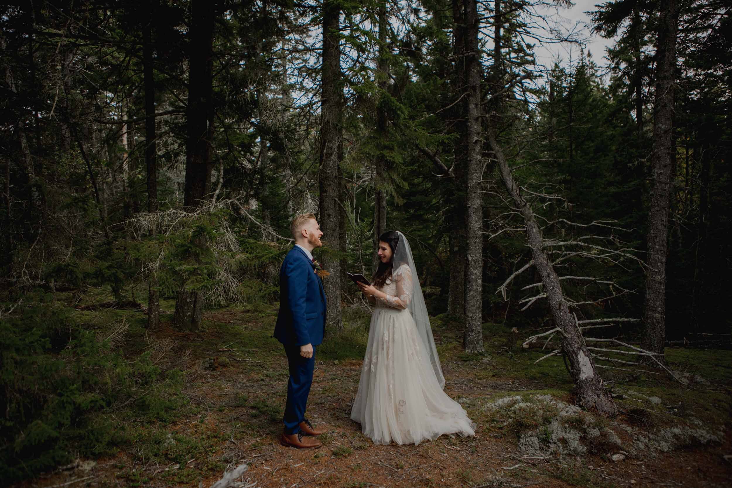 Acadia-Wedding-Photographer40.jpg