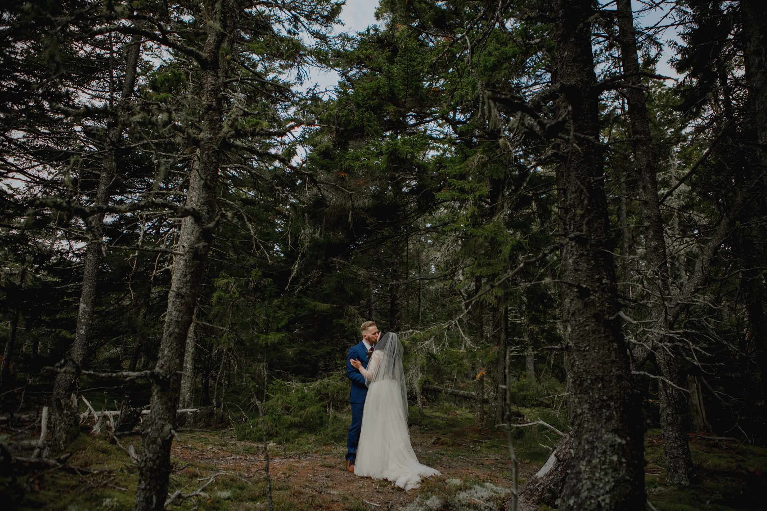 Acadia-Wedding-Photographer71.jpg