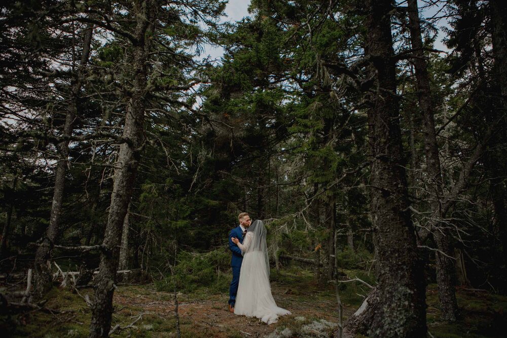 Acadia-Wedding-Photographer71.jpg