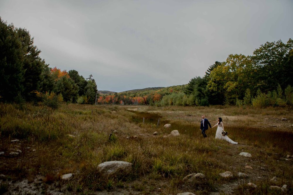 Acadia-Wedding-Photographer182.jpg