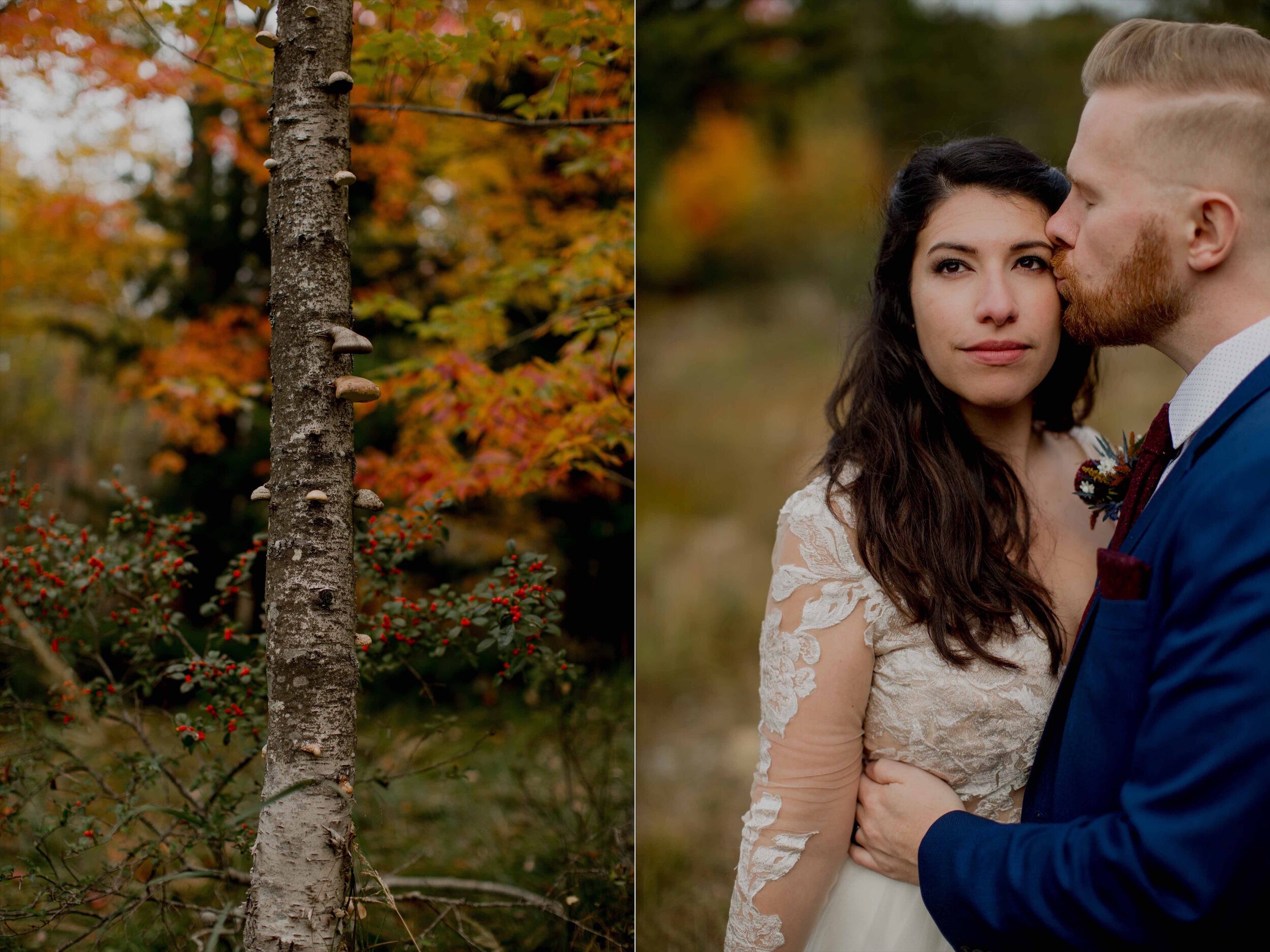 Acadia-Wedding-Photographer3.jpg