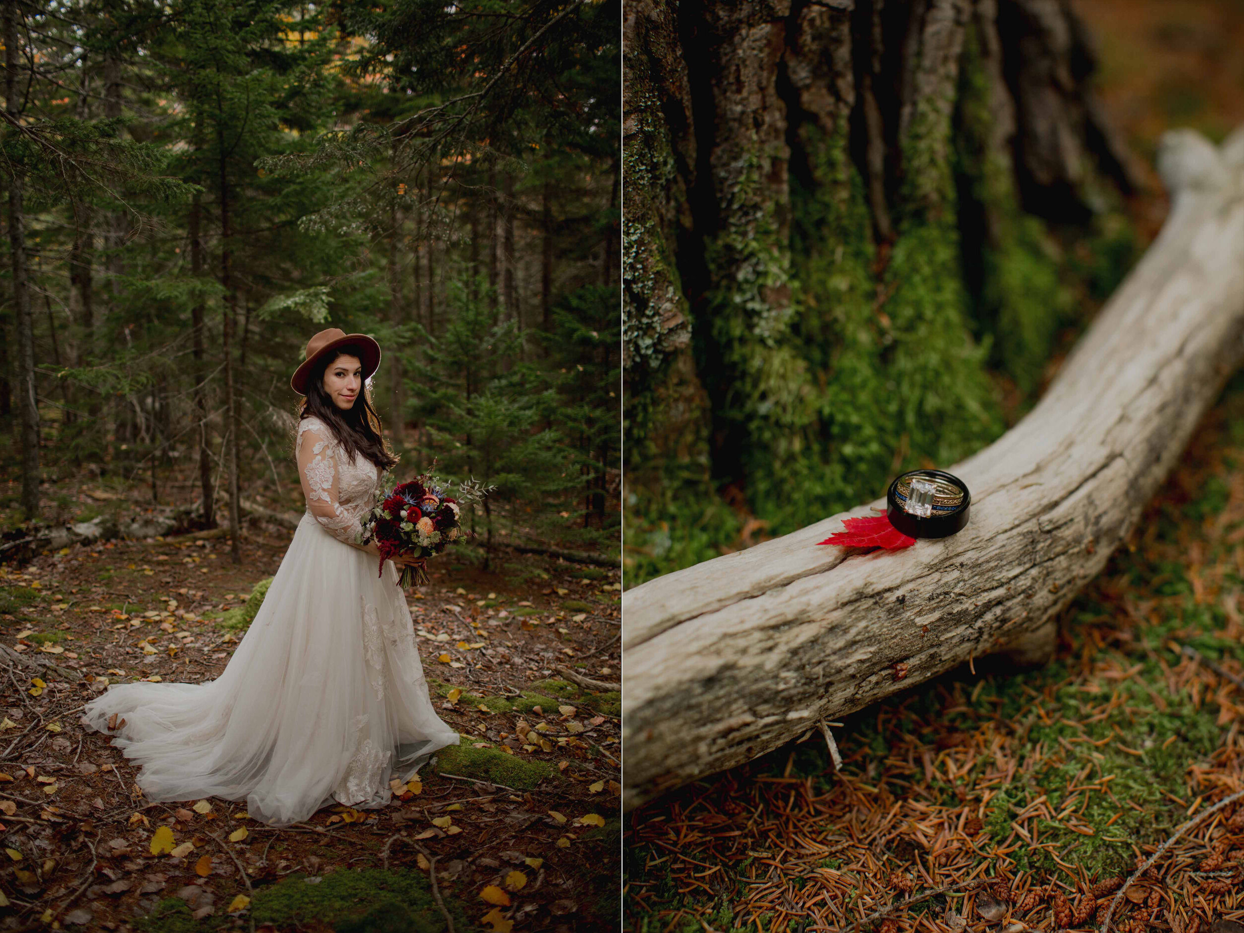 Acadia-Wedding-Photographer1t.jpg