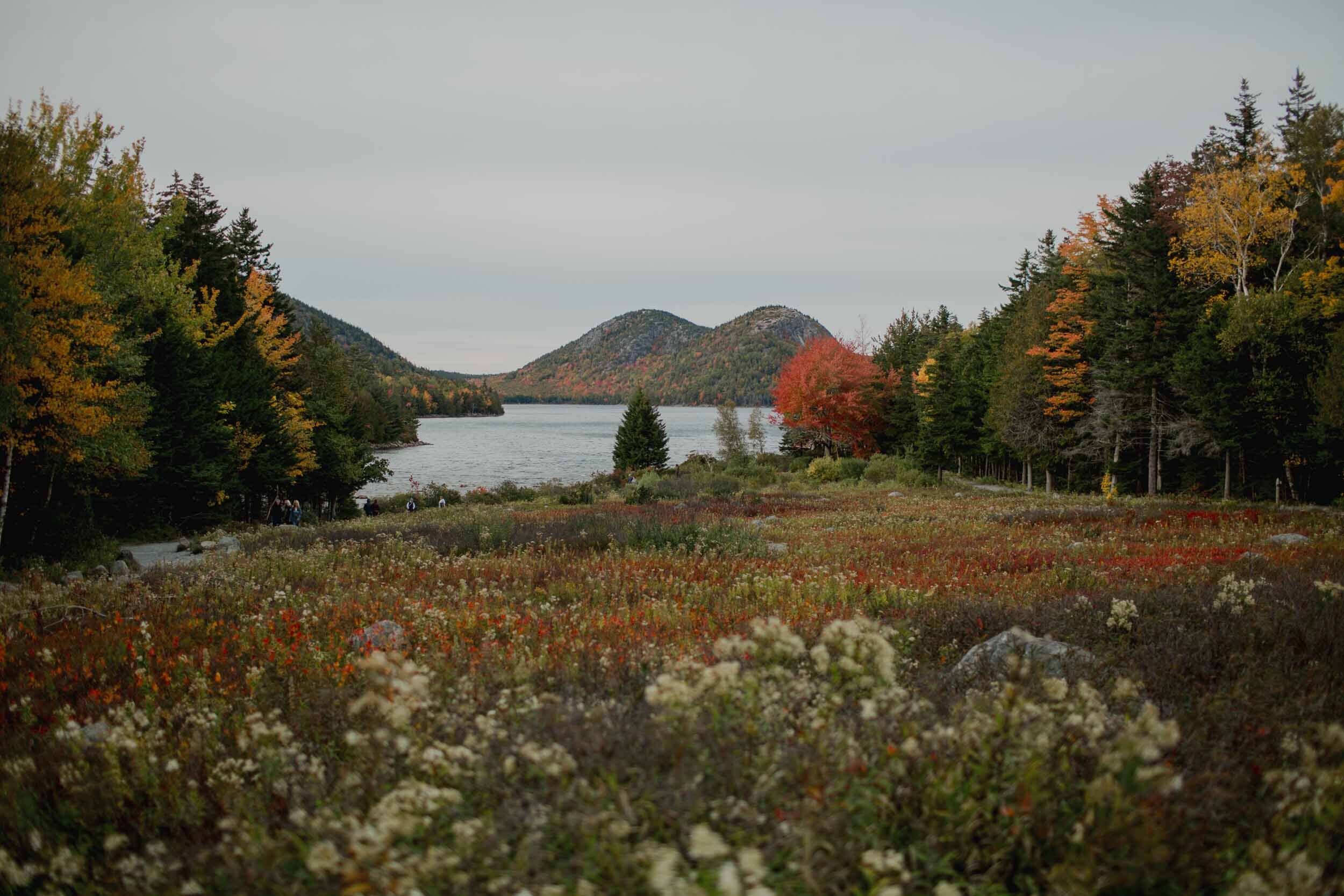 Acadia-Wedding-Photographer546.jpg