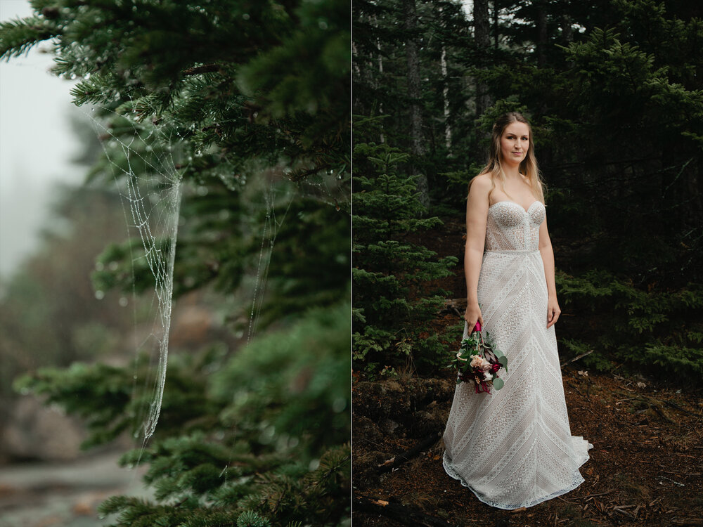 Acadia wedding