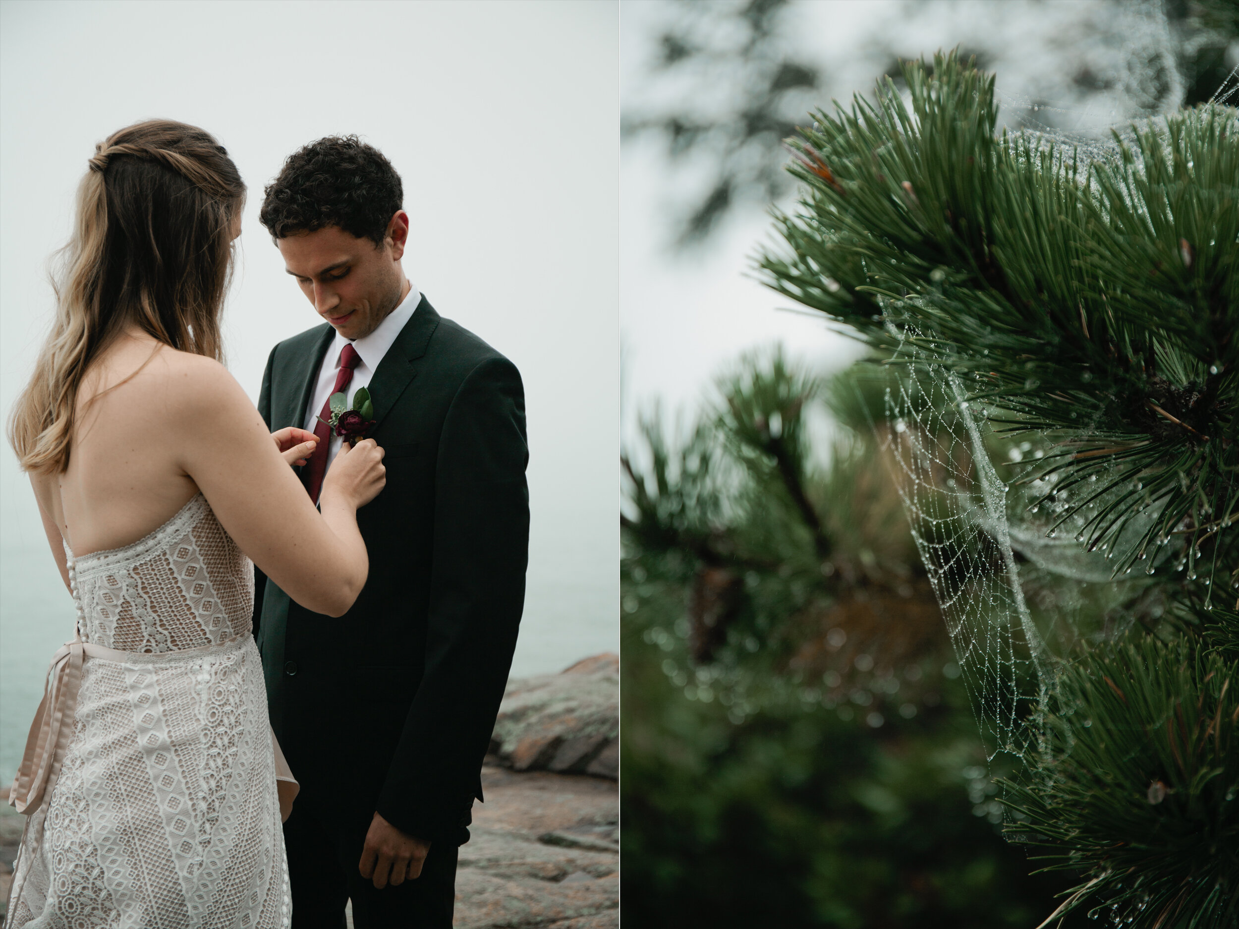 Acadia wedding