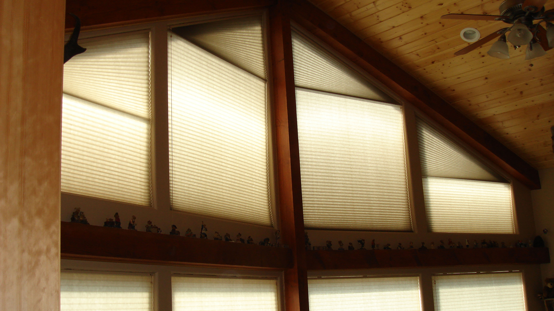 Honeycomb Specialty Angled Shades HD.jpg