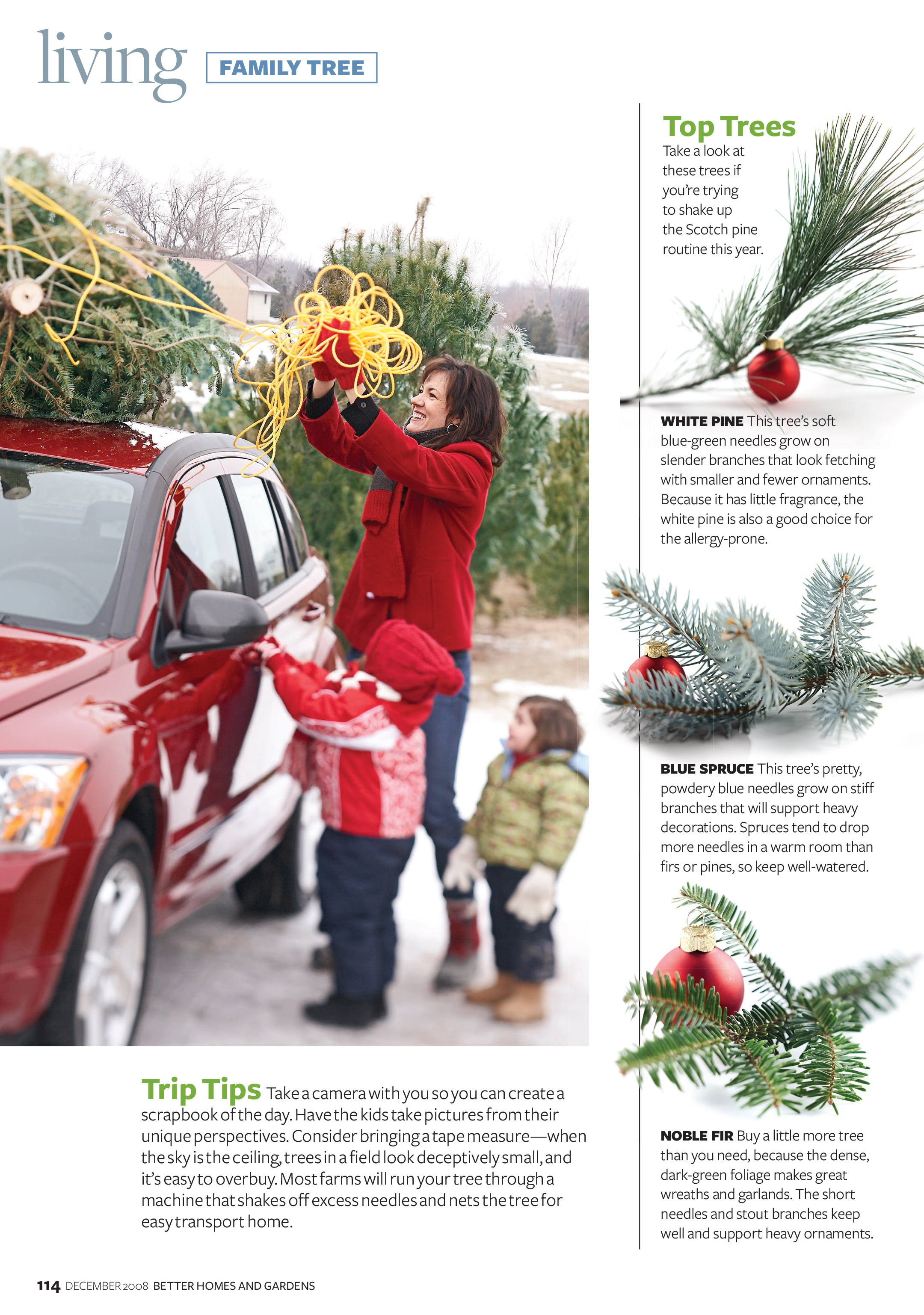 FamilyTree-3.jpg