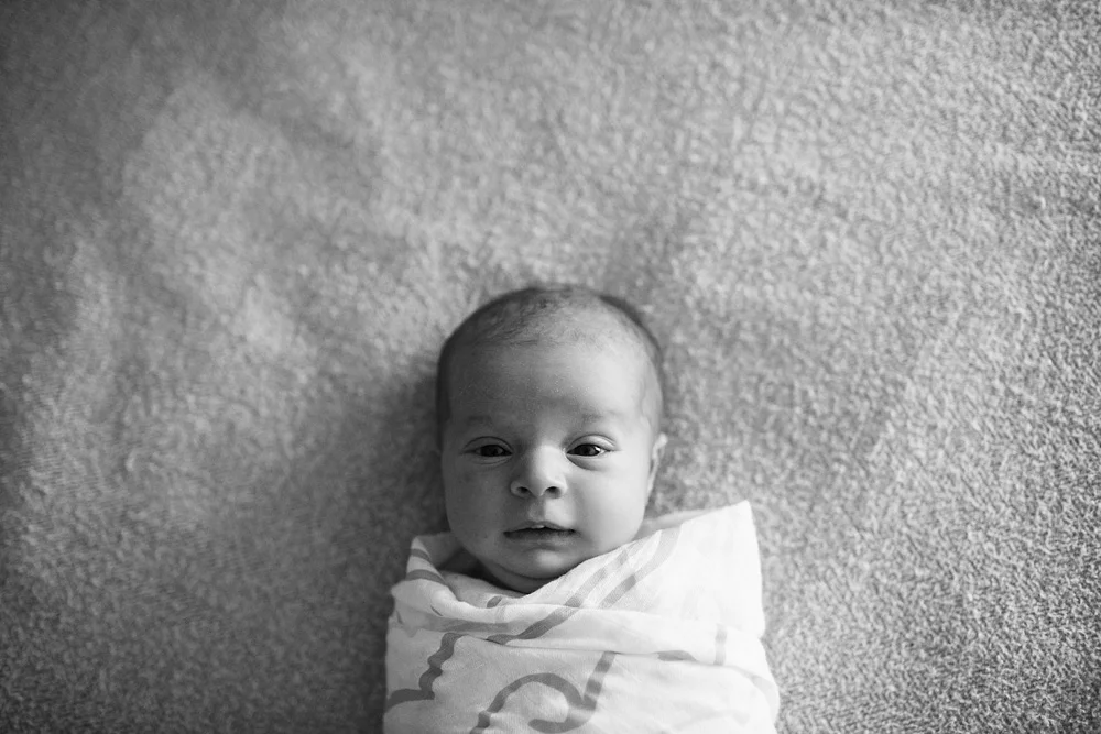 Seattle, WA Family & Newborn Photography by Photographer Elena S Blair