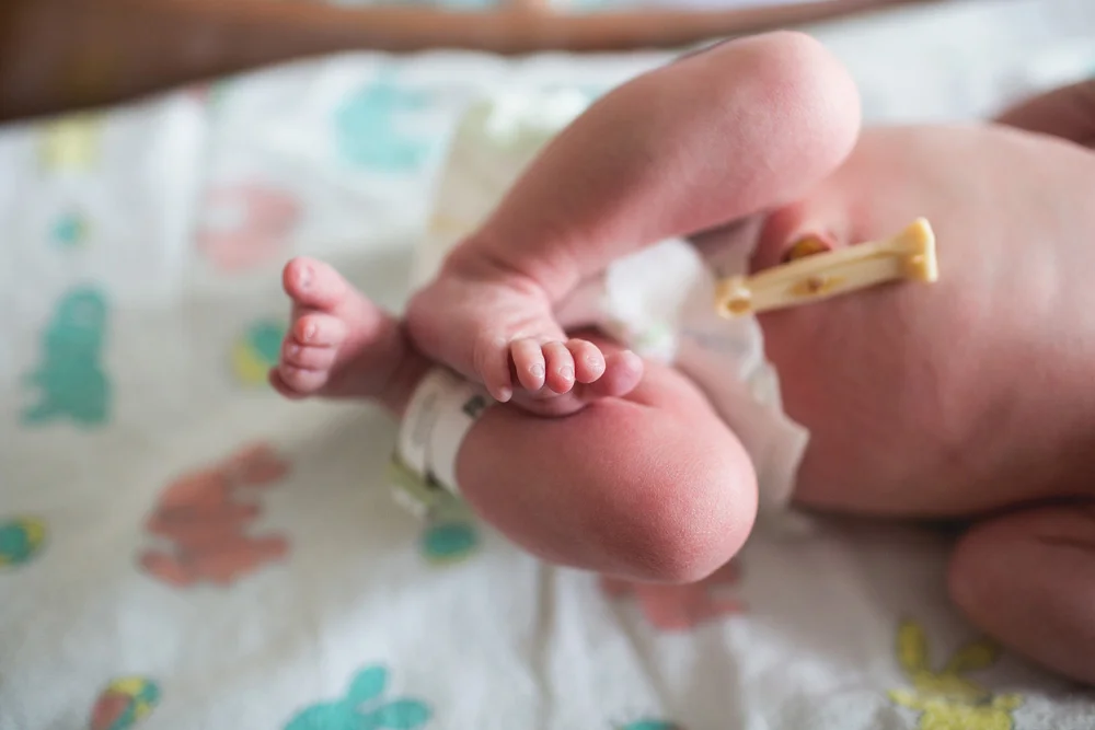 AdobeBridgeBatchRenameTemp8elenasblair_seattle_family_newborn_photographer.jpg