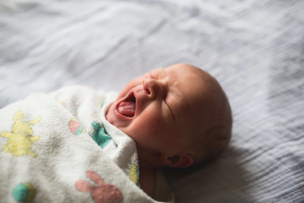 AdobeBridgeBatchRenameTemp13elenasblair_seattle_family_newborn_photographer.jpg