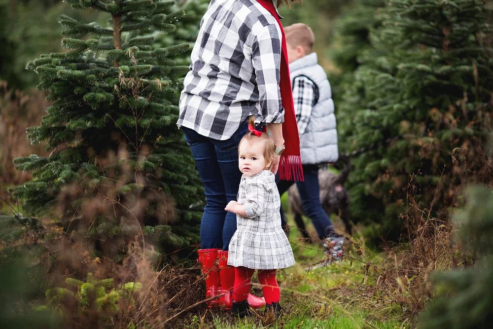 AdobeBridgeBatchRenameTemp8elenasblair_seattle_family_photographer_.jpg