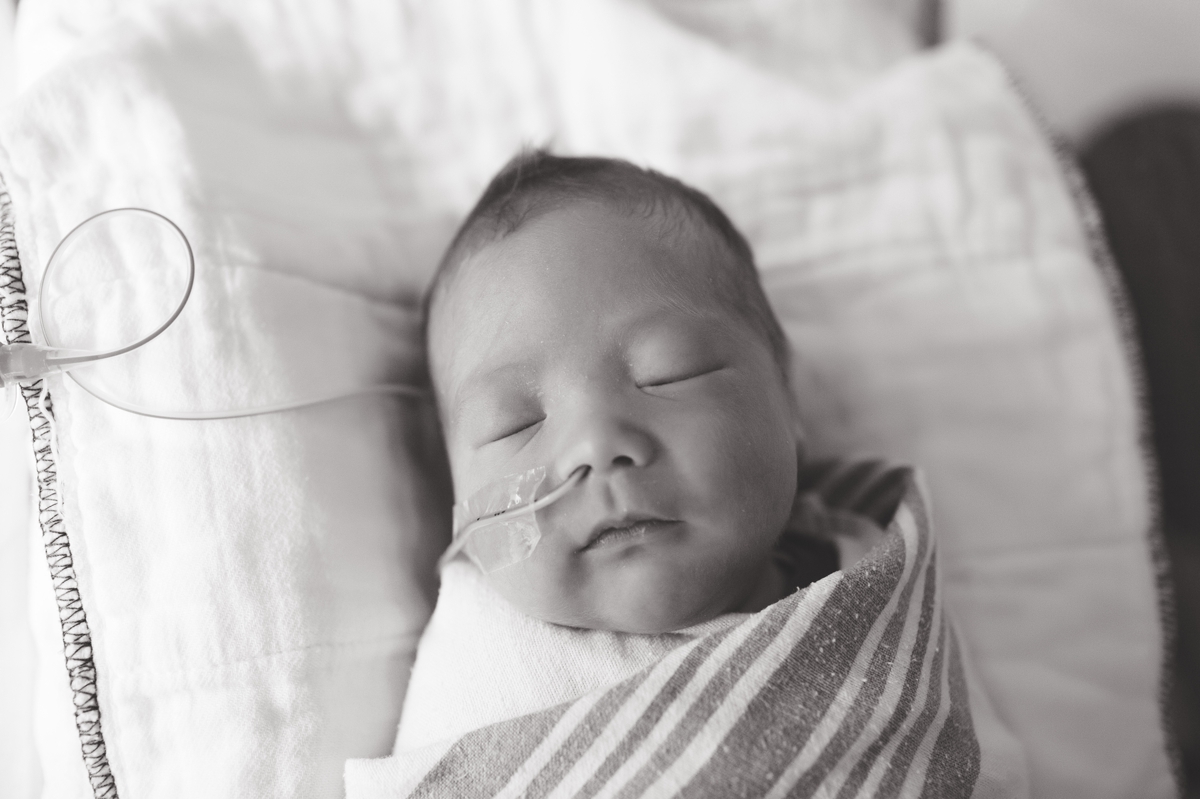 elena s blair seattle newborn photographer hospital