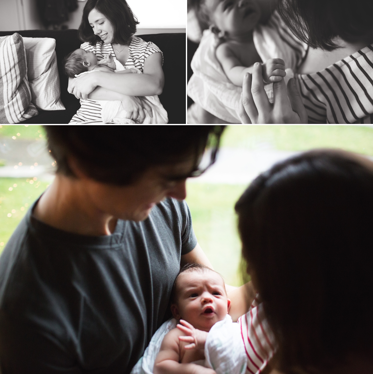 elena blair seattle newborn photographer