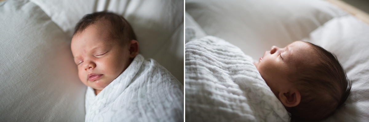 elena blair seattle newborn photographer 