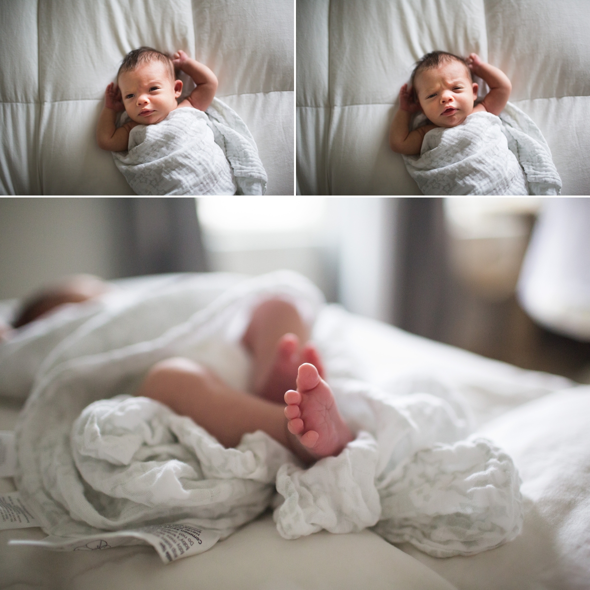 elena blair seattle newborn photographer 