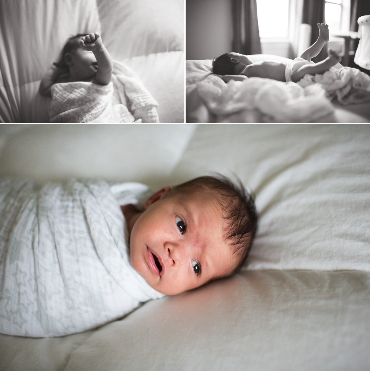 elena blair seattle newborn photographer 