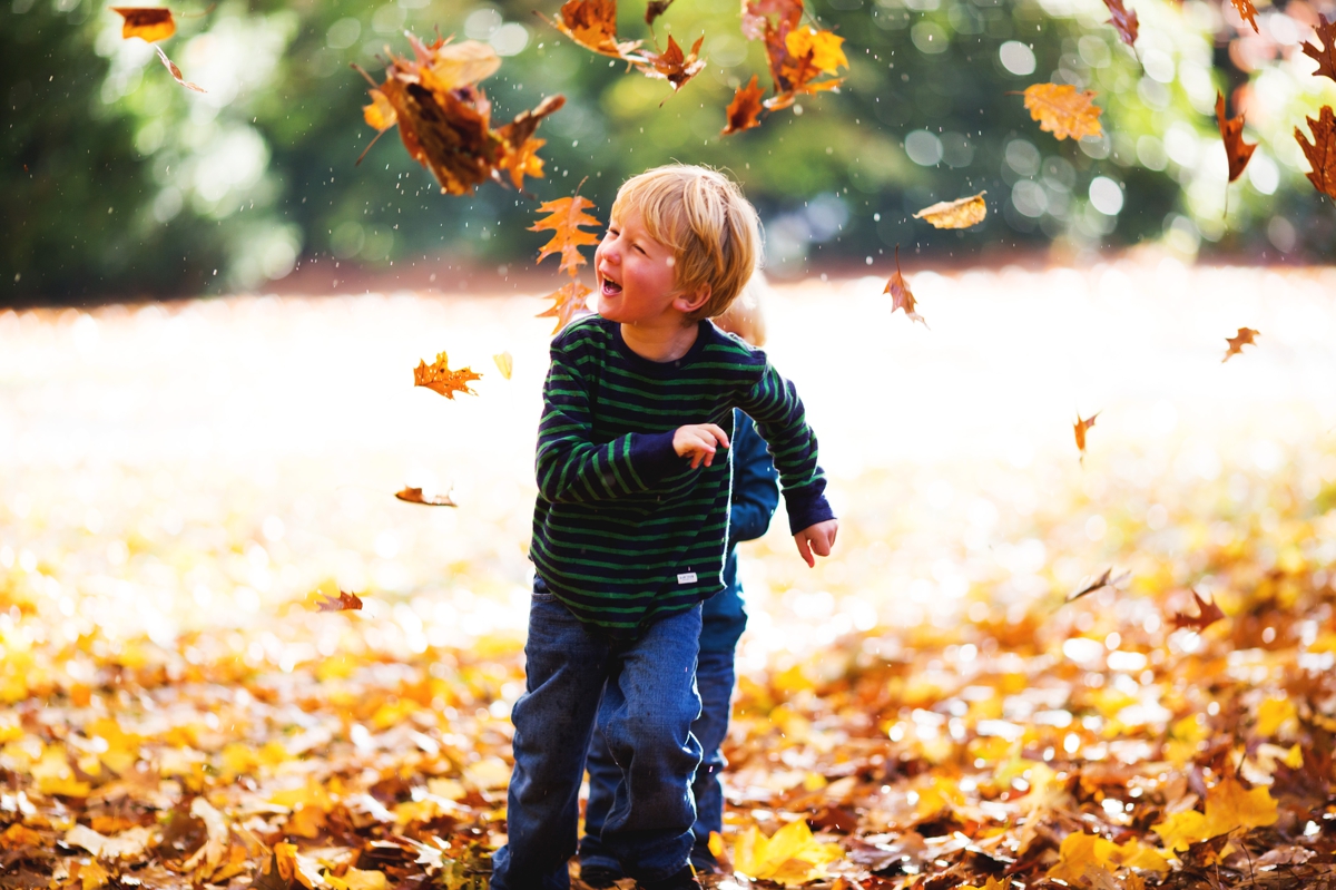 seattle family fall photographer elena s blair