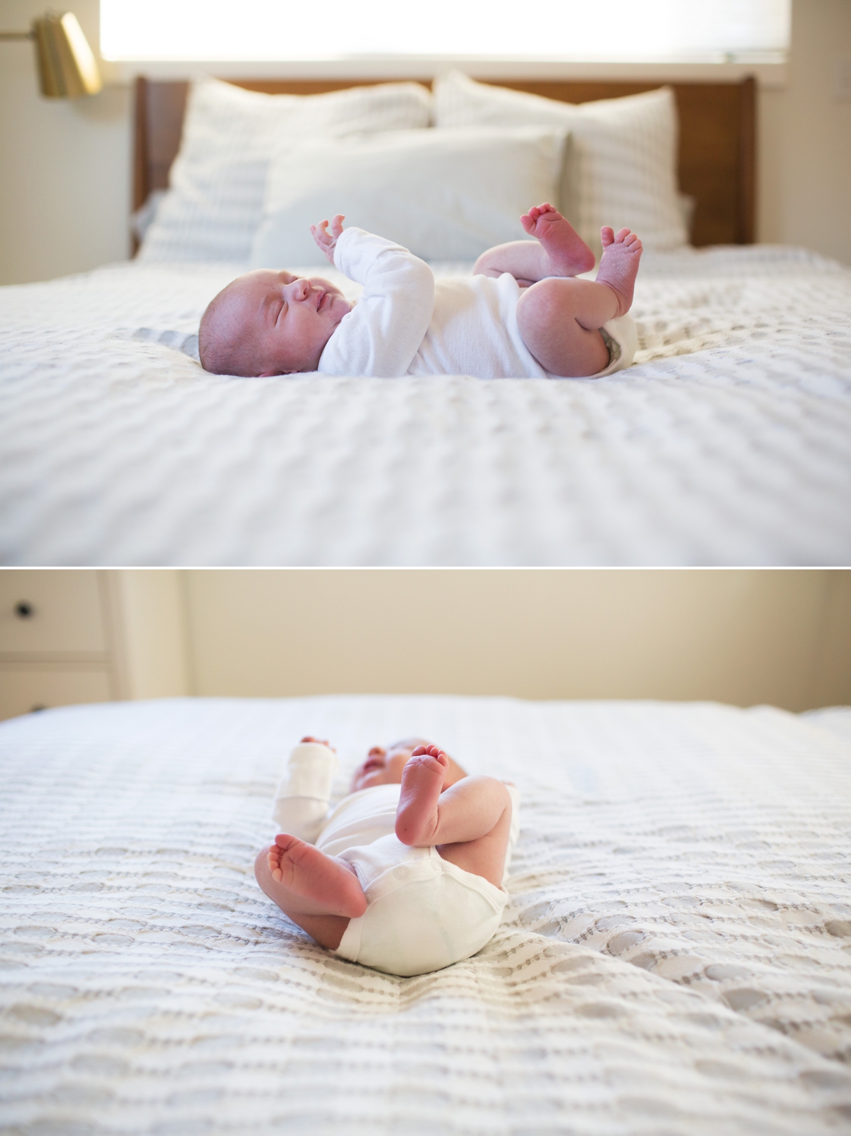 elena blair seattle newborn family photography