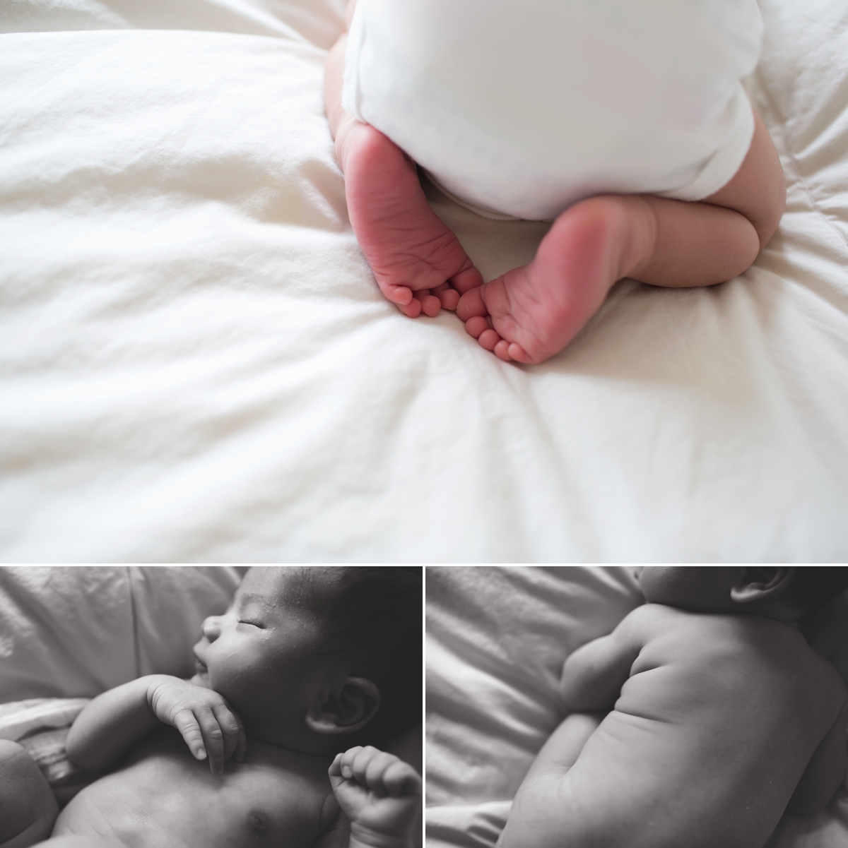 elena s blair seattle newborn baby family photographer at home