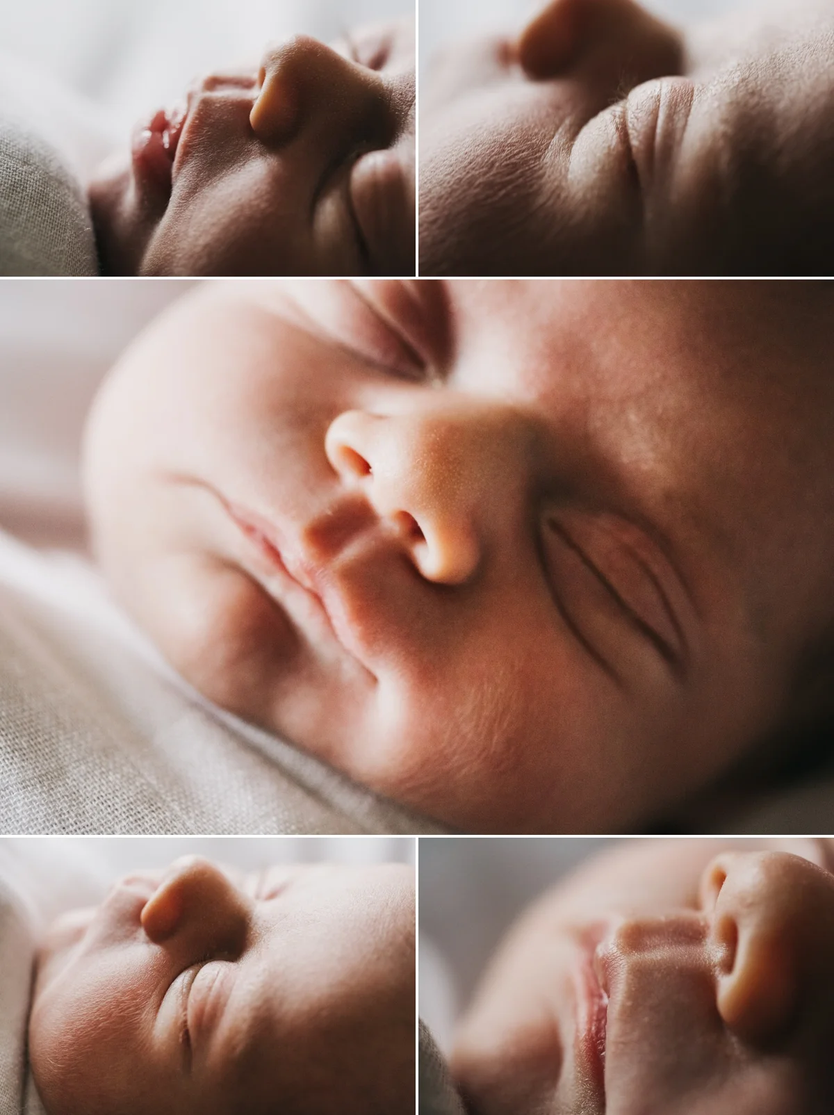 Newborn Macro Photography Elena S Blair