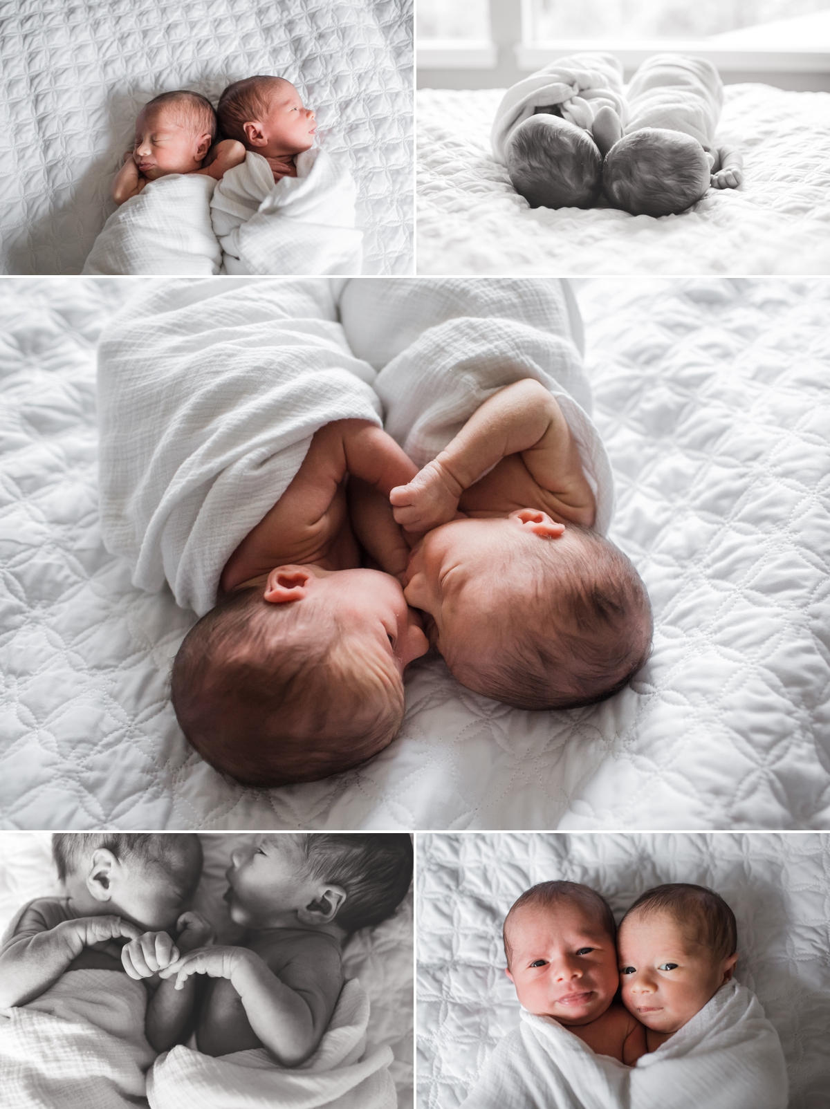 Seattle Newborn Photographer Elena S Blair | Connected and Emotive Family Photography | Twin boys