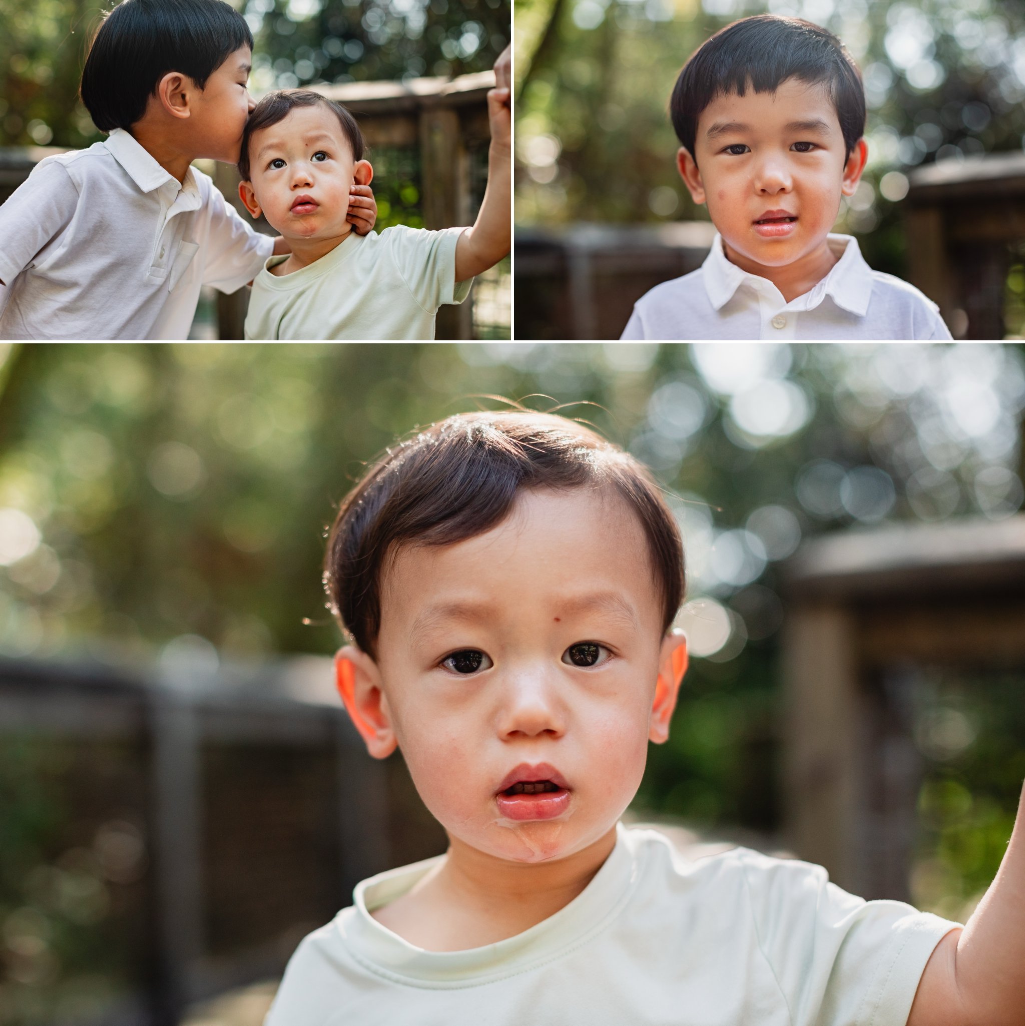 Sweet moments between two young brothers as the older one gives the younger a gentle kiss. The younger child looks up curiously, capturing a playful, tender sibling moment in the warm sunlight.