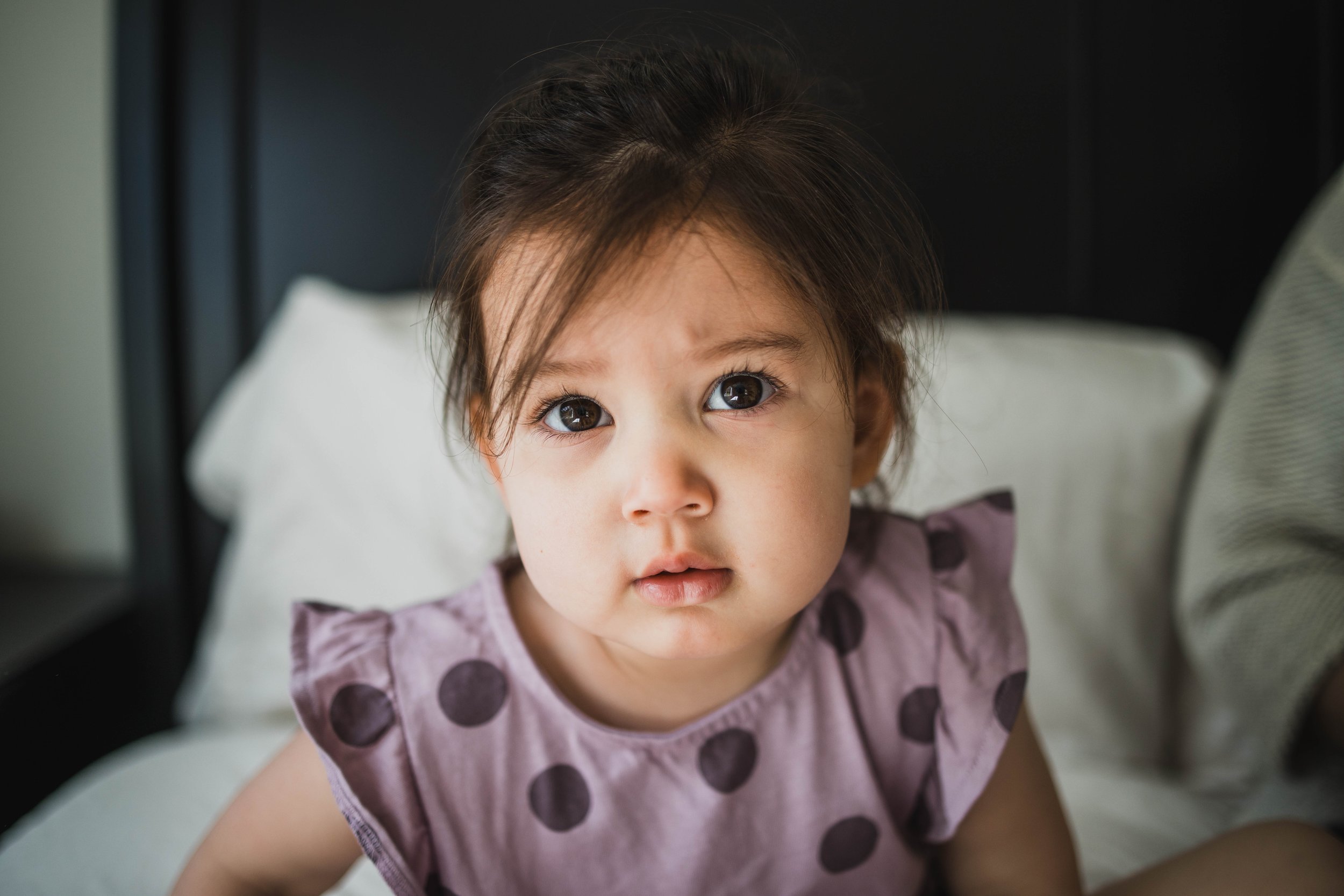 An intimate, low-angle portrait of a toddler girl with dark hair looking intently at the camera, wearing a purple polka dot dress. In-home seattle newborn photography lifestyle portrait.