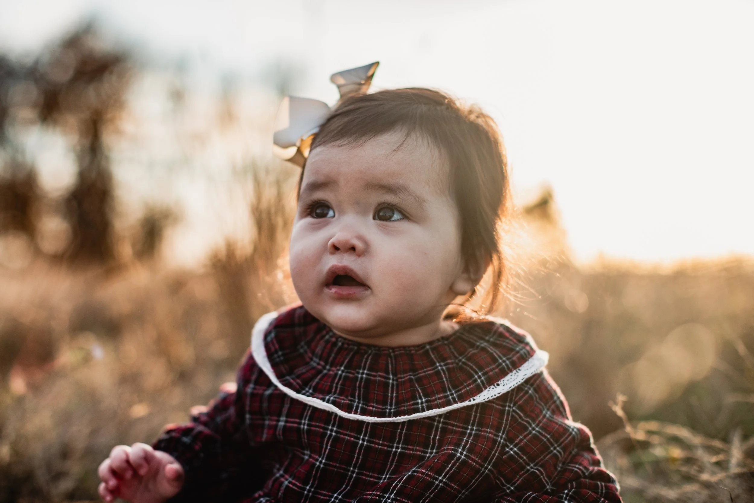 Close-up of a baby girl in a plaid fall dress and a white bow, looking upwards with soft sunset lighting. Part of a seattle family photo shoot.