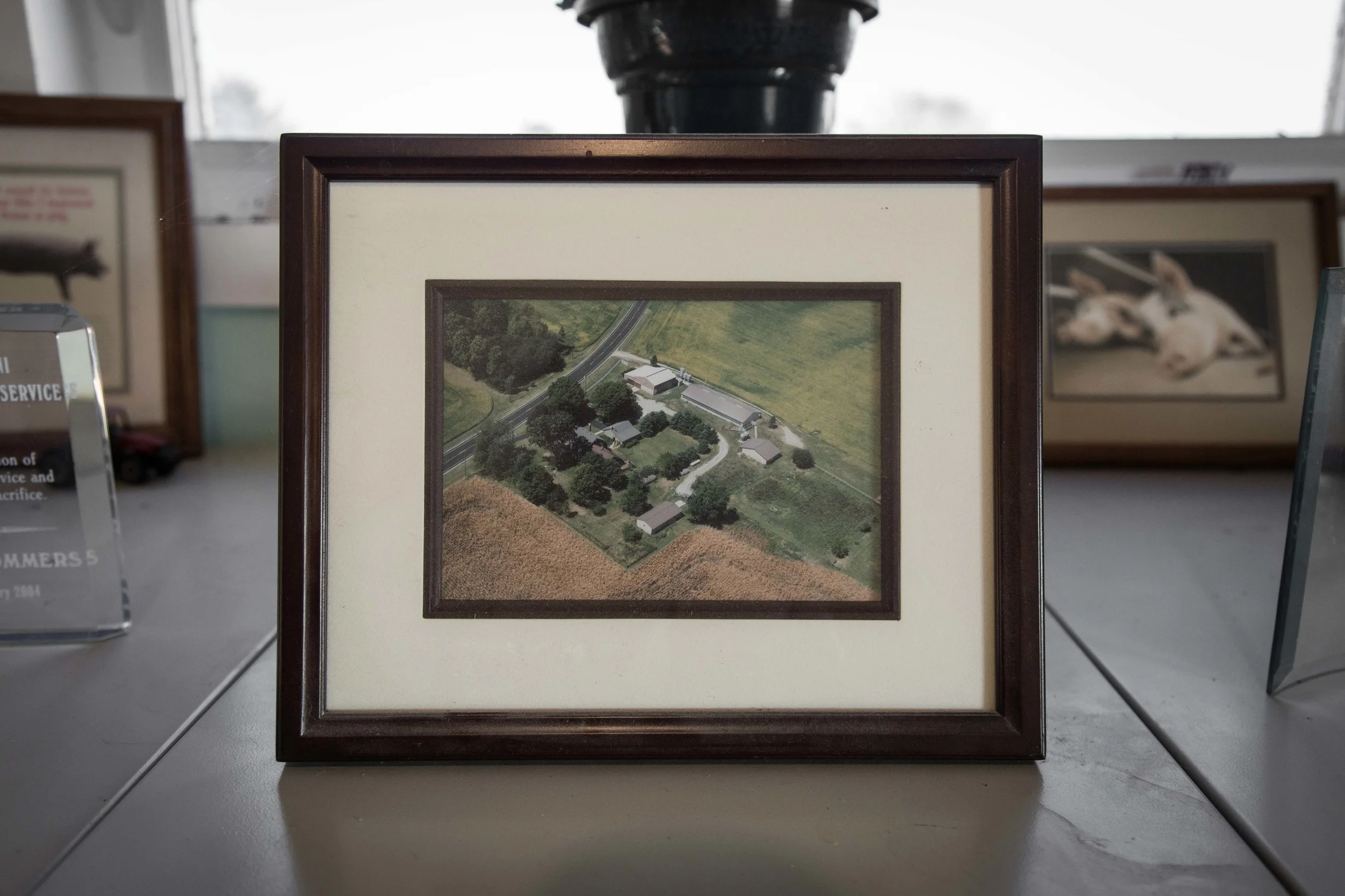 Tradition runs deep at our farms.