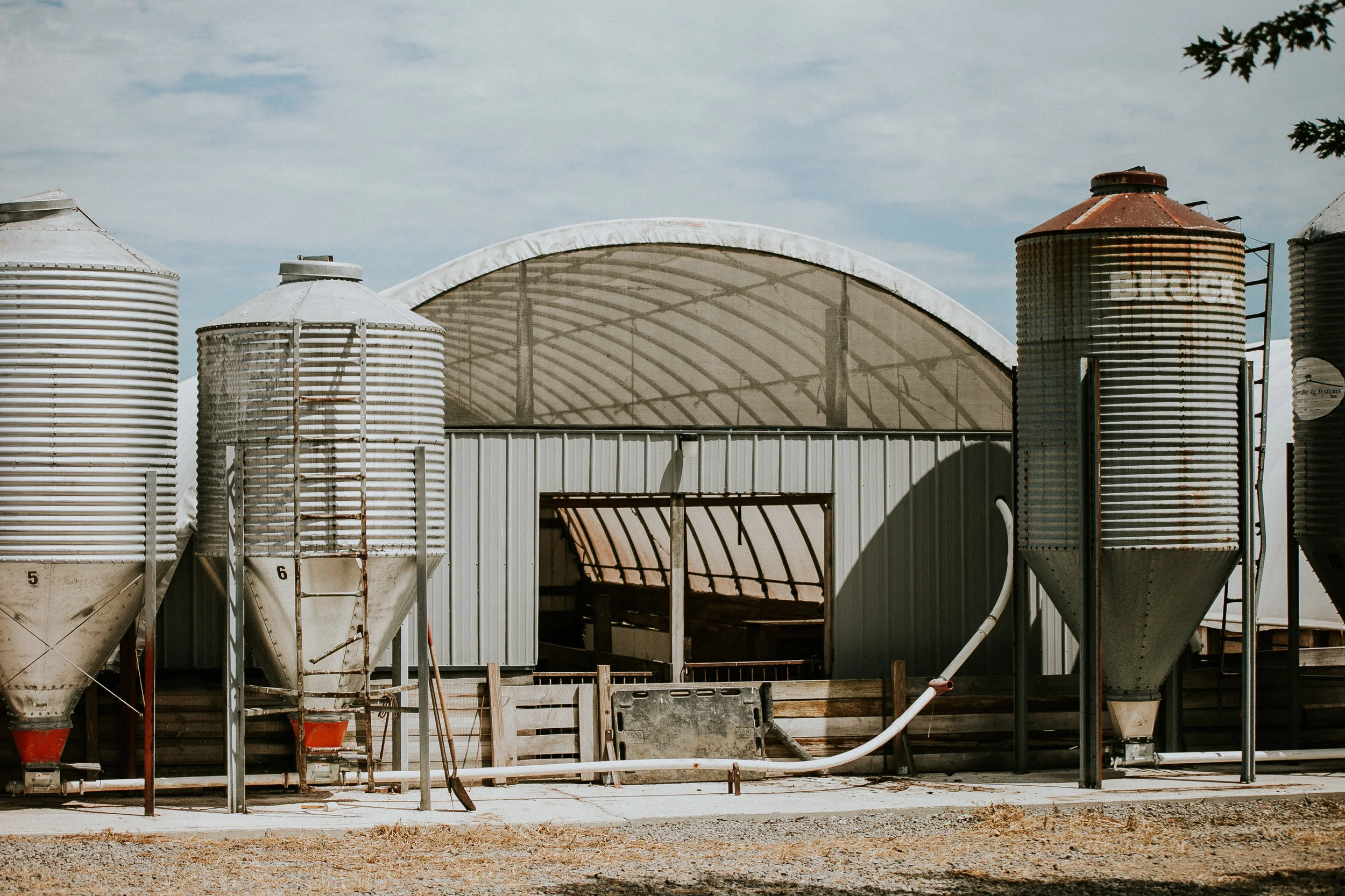 An outside view of the hoop barns, with feed bins close by.