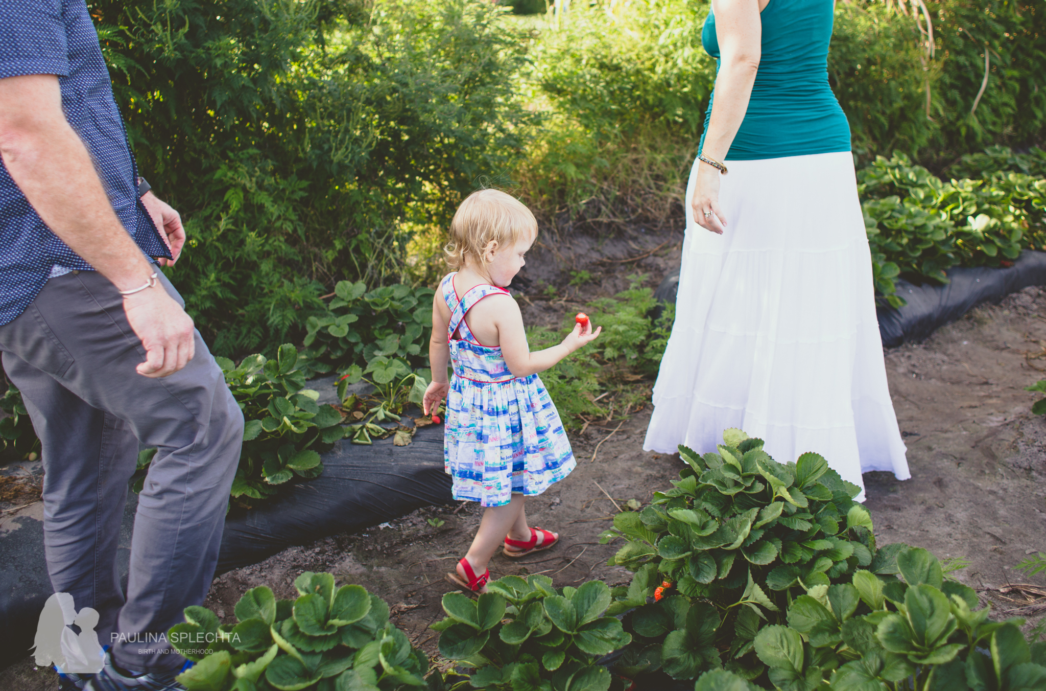 Family Photographer in Boca Raton-1.jpg