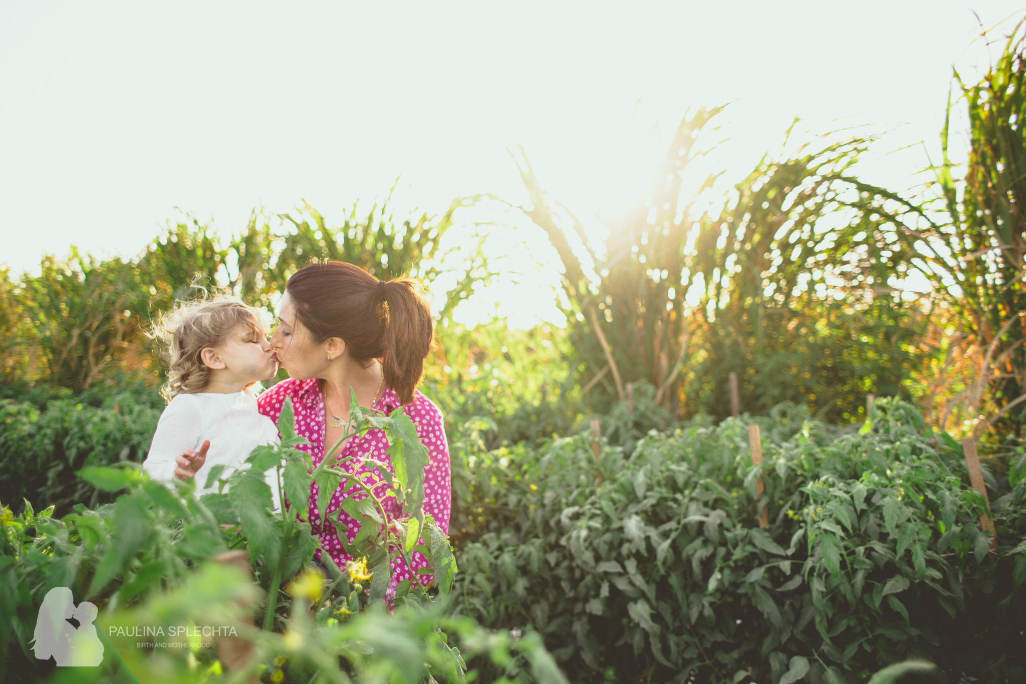 Farm Photo Shoot Strawberry Patch Family Florida-7.jpg