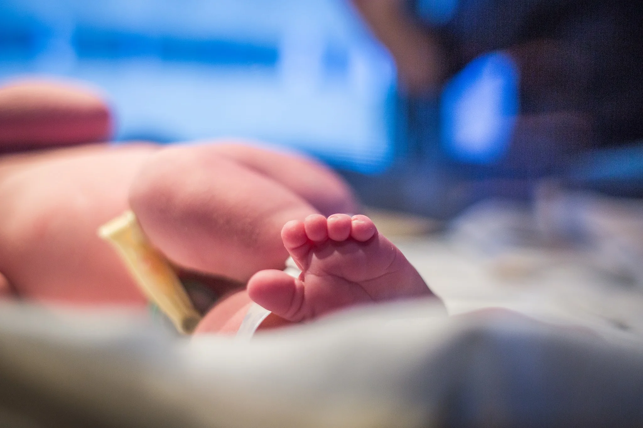 november 2018 due date boca regional.jpg