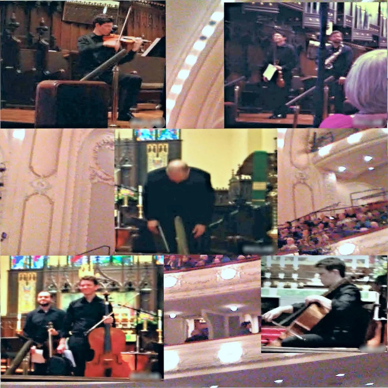 The Eighth Annual Belvedere Chamber Music Festival (2014)