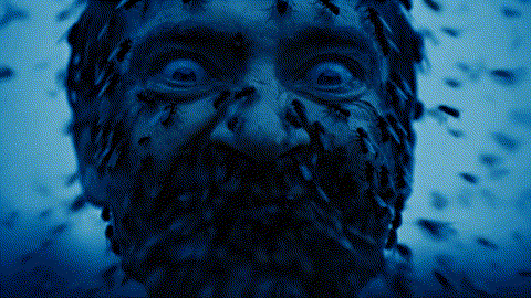 Flies_swarm_a_202512151128.gif
