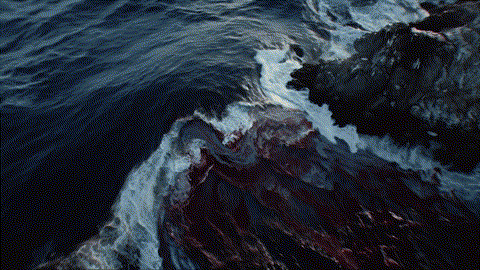 A_flowing_ocean_202601021017.gif