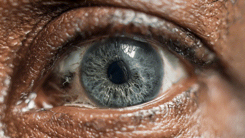 A_candid_closeup_202601060719 (1).gif