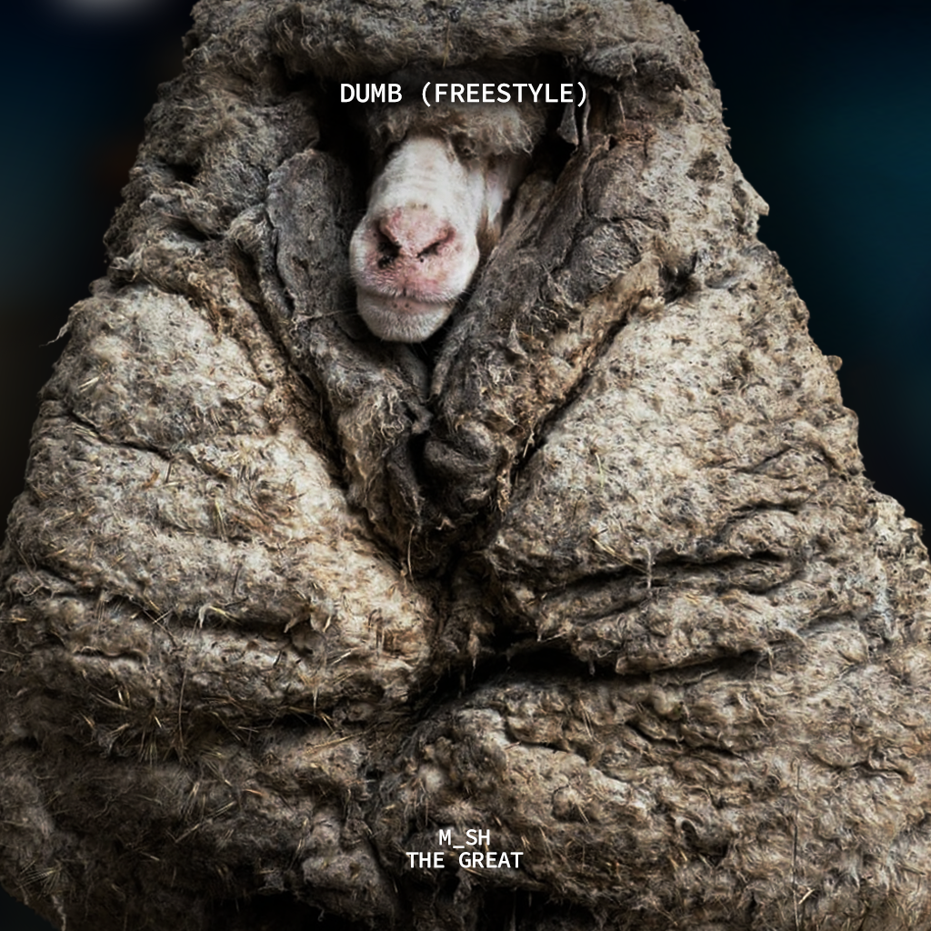 Dumb Freestyle Cover.png
