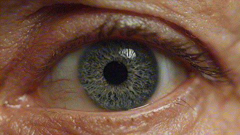 A_candid_closeup_202601101343 (1).gif