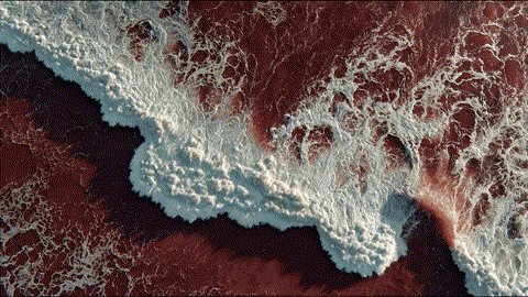 A_flowing_ocean_202601021004.gif